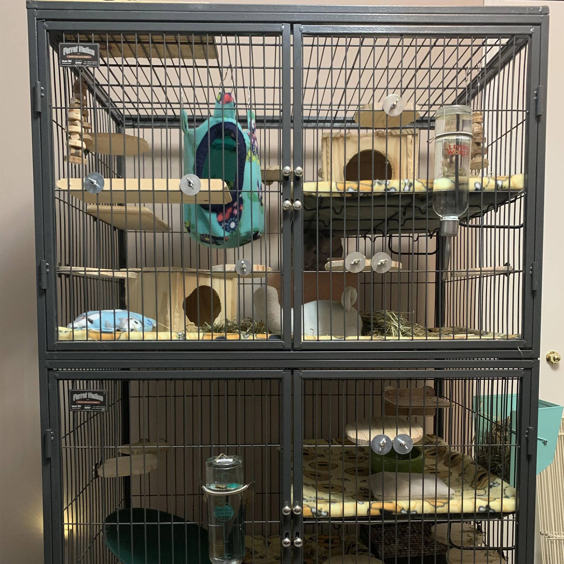 Maximizing Your Chinchilla's Health and Happiness with the Perfect Cage ...