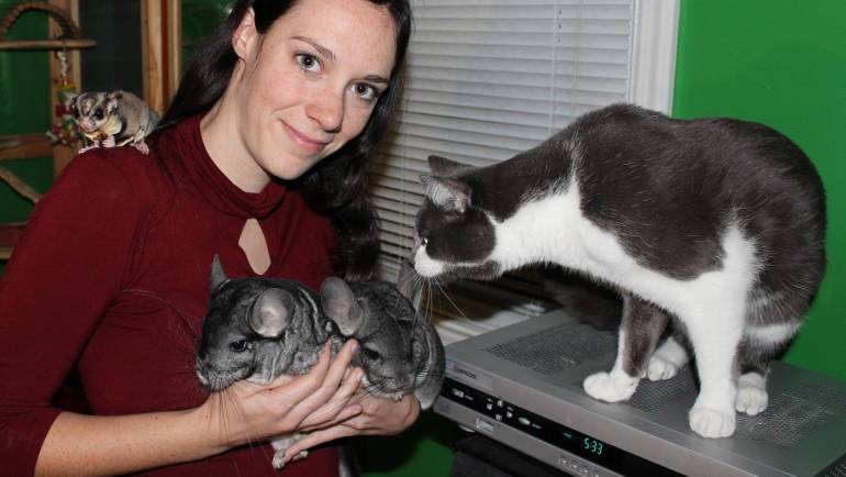 How Chinchillas Get Along with Other Household Pets