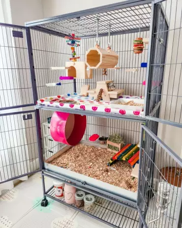 Maximizing Your Chinchilla’s Health and Happiness with the Perfect Cage Setup