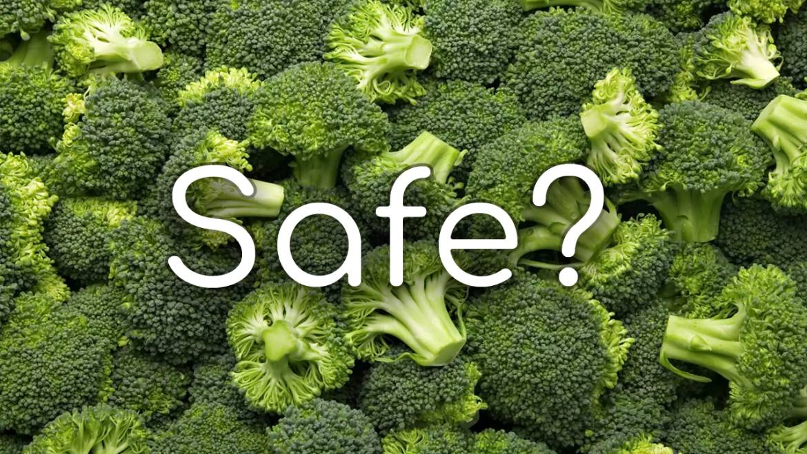 Can Chinchillas Eat Broccoli? A Complete Guide