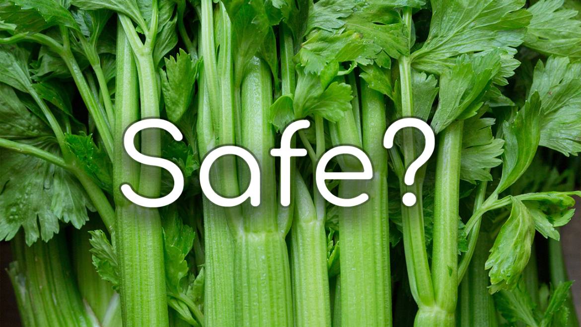 Can Chinchillas Eat Celery? Nutritional Benefits and Risks
