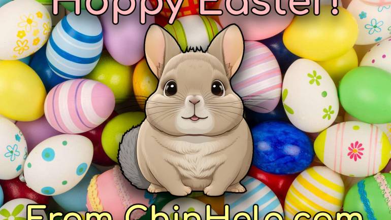 Happy Easter from ChinHelp!