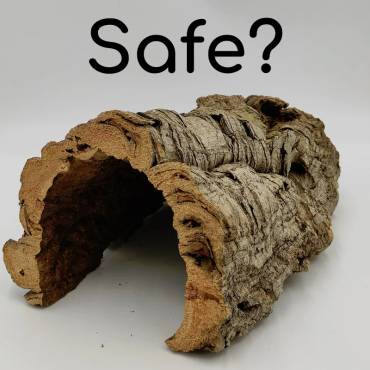 Cork Accessories for Your Chinchilla’s Cage: Are They Safe?