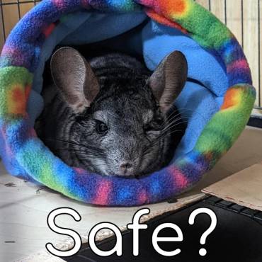 The Pros and Cons of Fleece for Your Chinchilla’s Cage Accessories